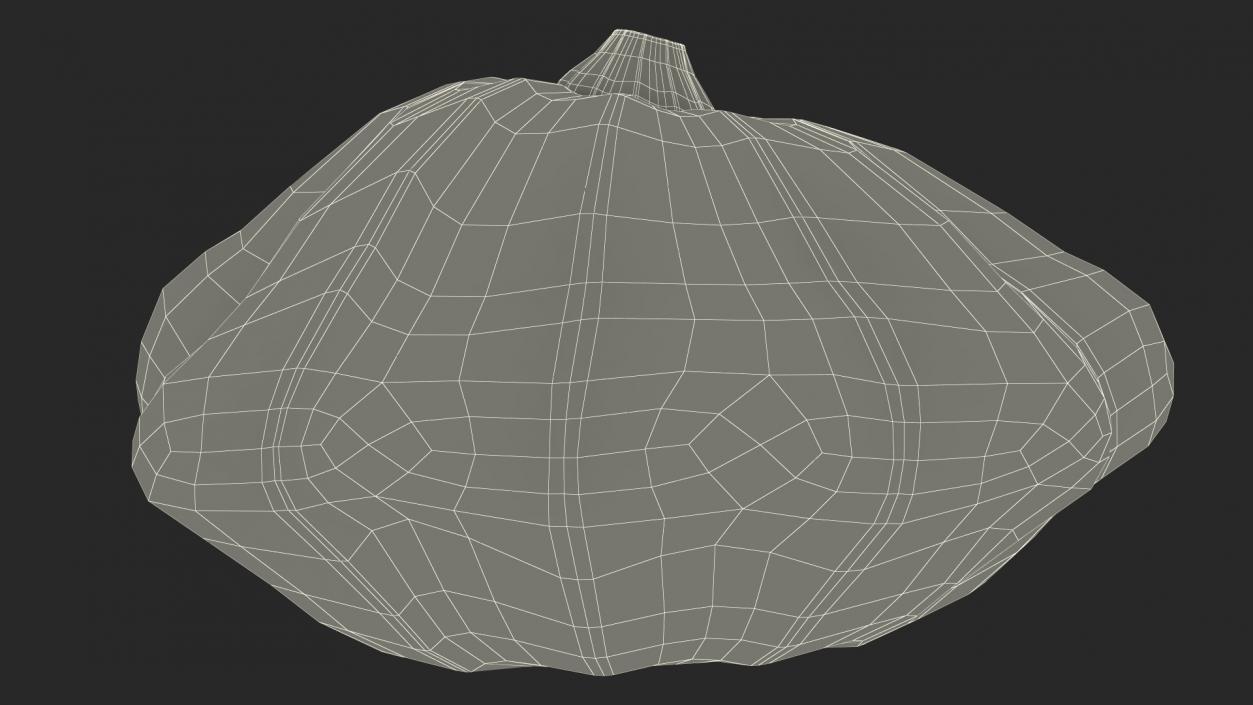 3D Bush Pumpkin White model