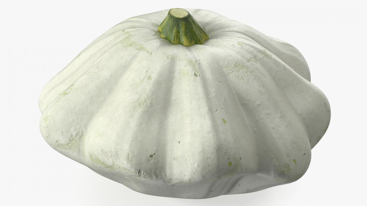 3D Bush Pumpkin White model