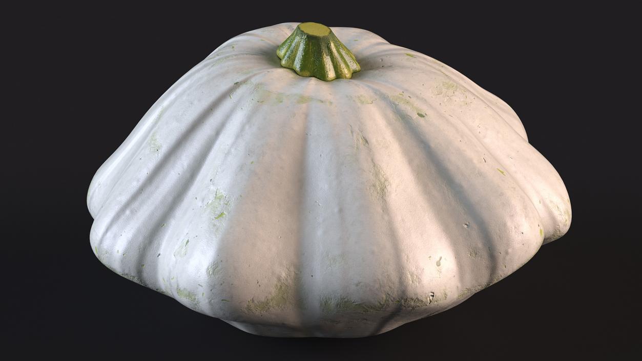 3D Bush Pumpkin White model