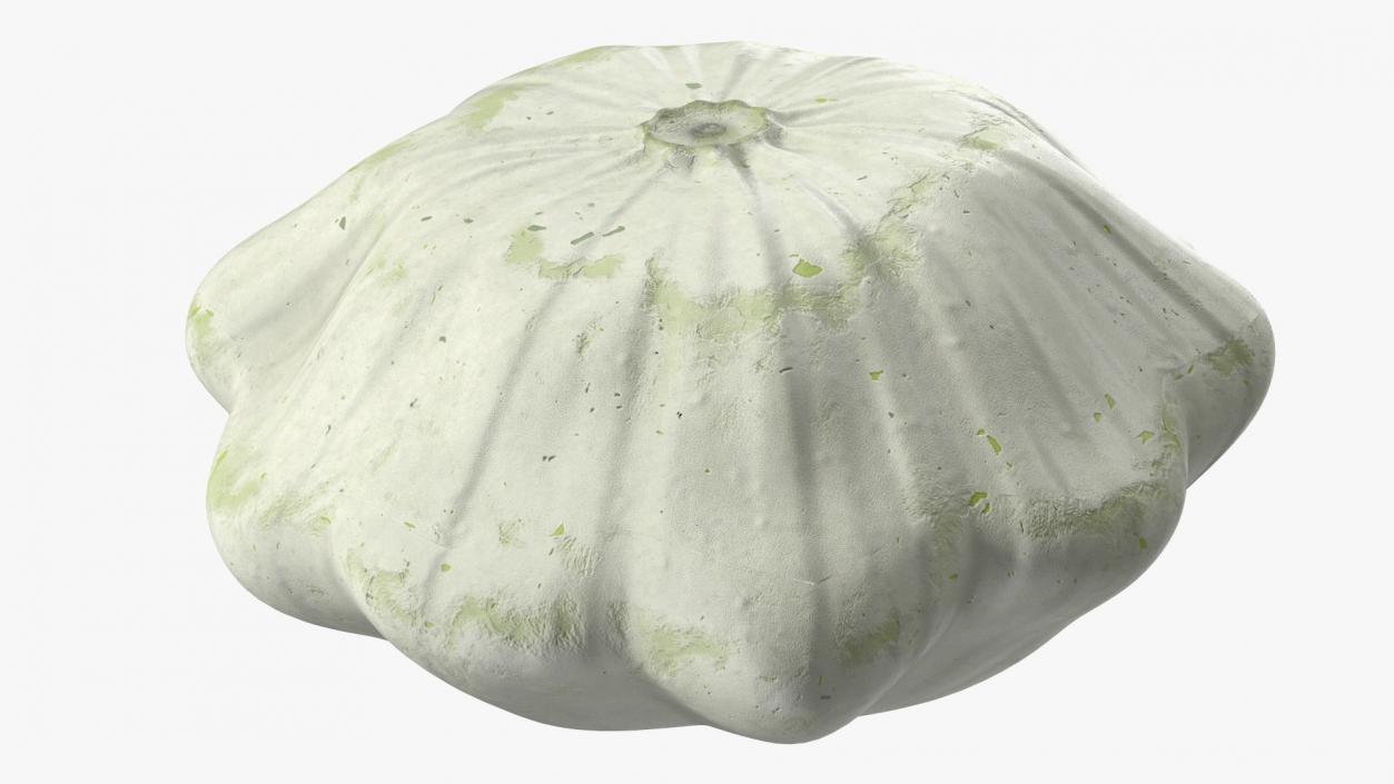 3D Bush Pumpkin White model