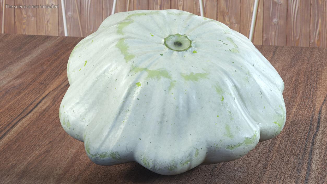 3D Bush Pumpkin White model