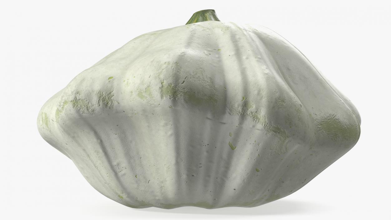 3D Bush Pumpkin White model