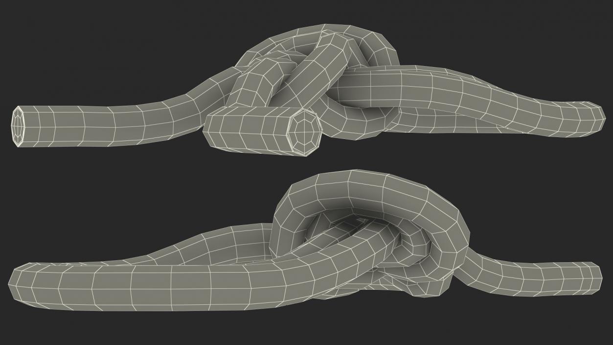 3D Bowline on a Bight Knot model