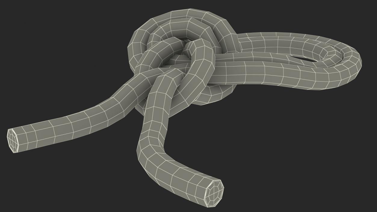 3D Bowline on a Bight Knot model