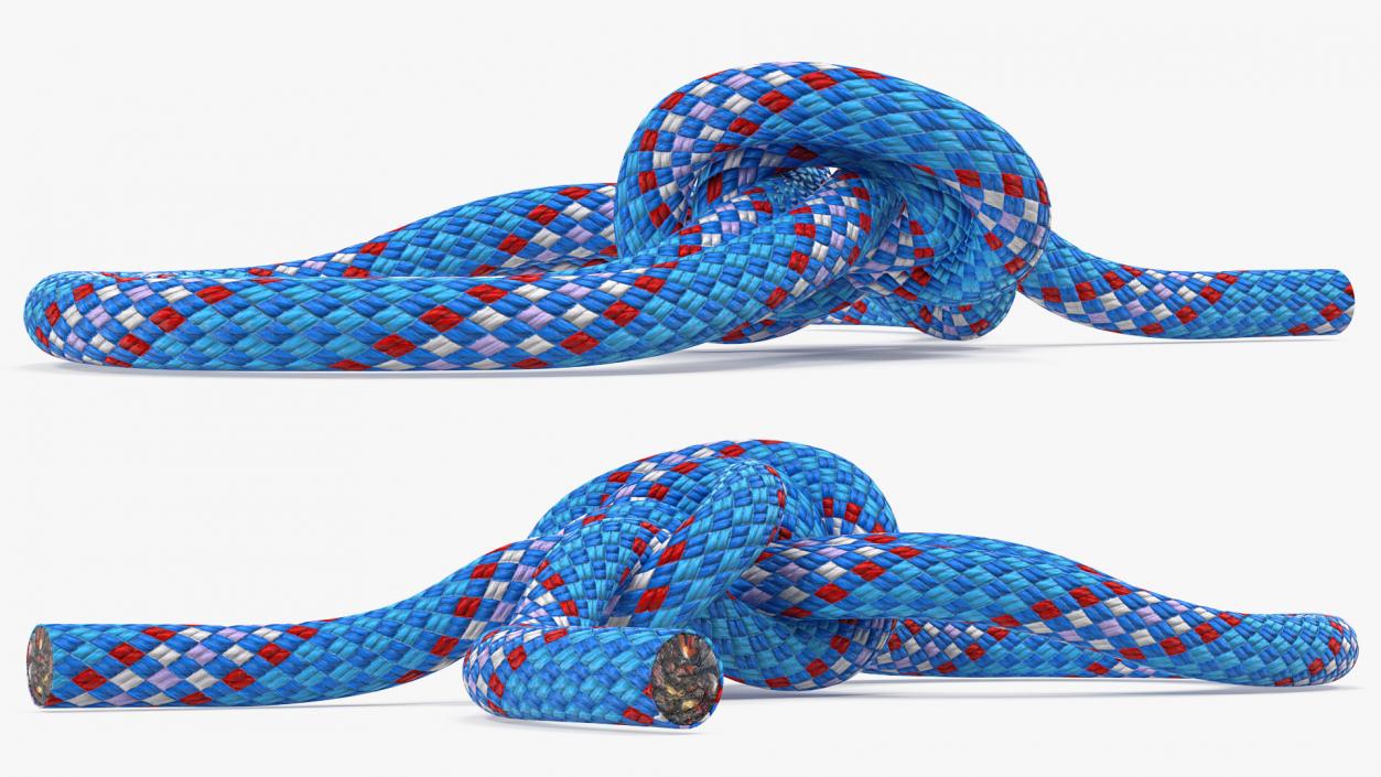 3D Bowline on a Bight Knot model