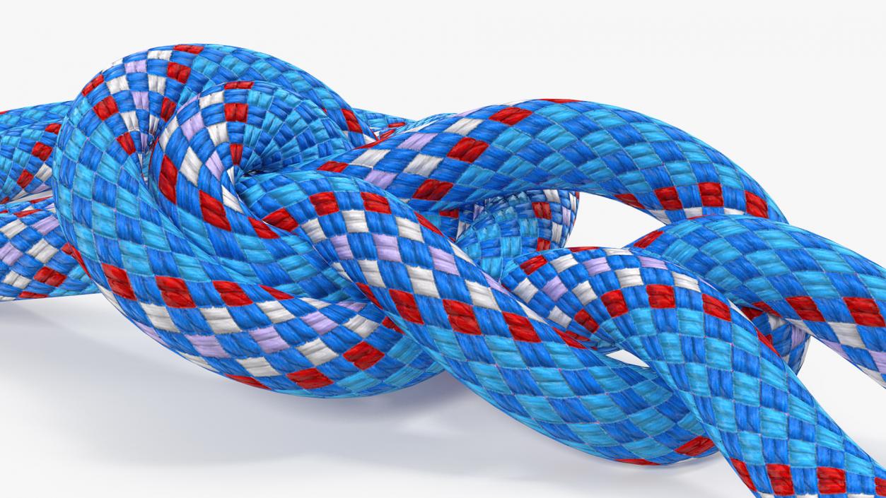 3D Bowline on a Bight Knot model