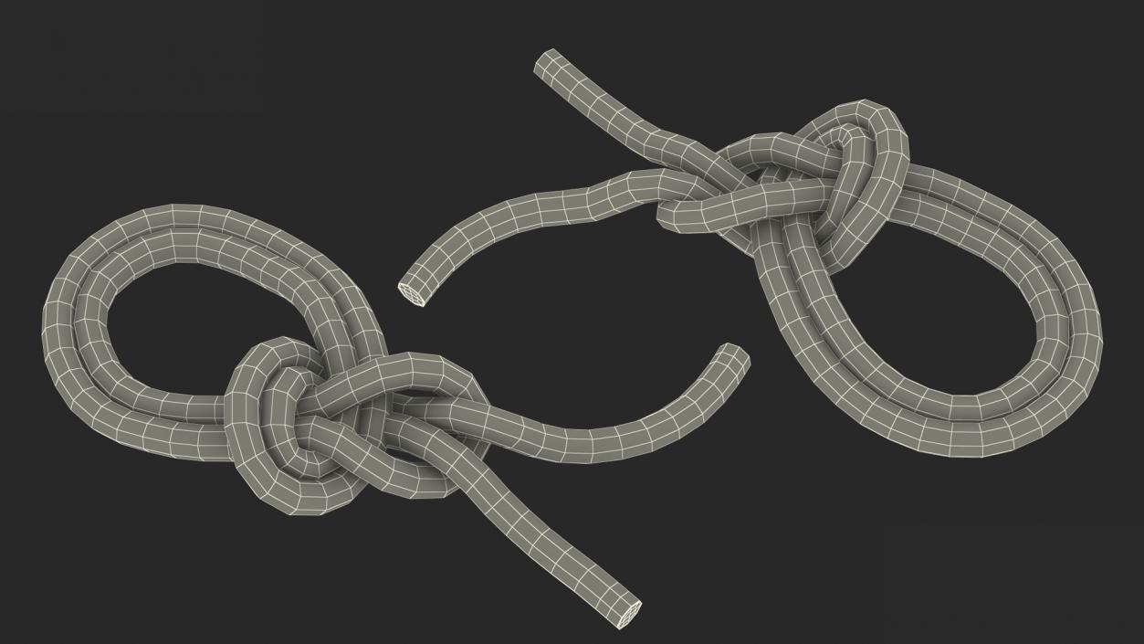 3D Bowline on a Bight Knot model