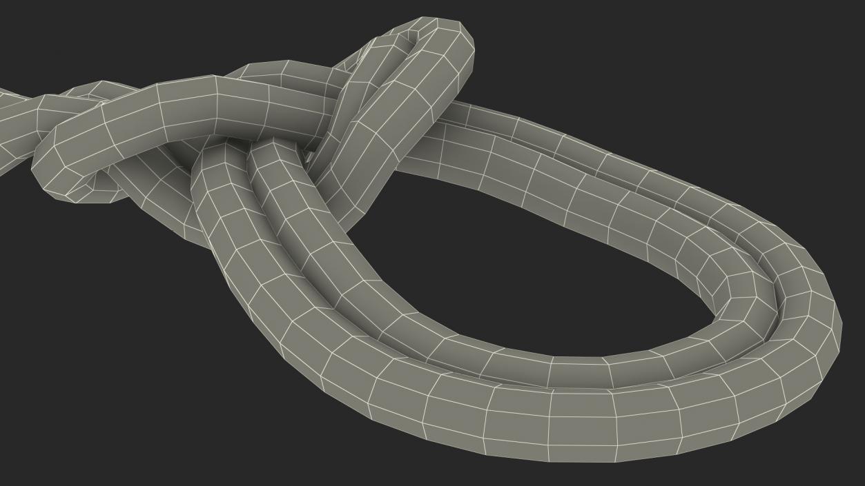 3D Bowline on a Bight Knot model