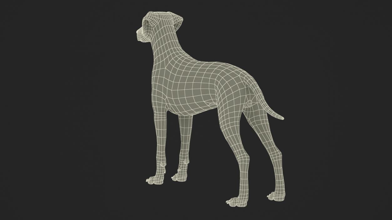 3D model Spotted Dalmatian Dog Fur