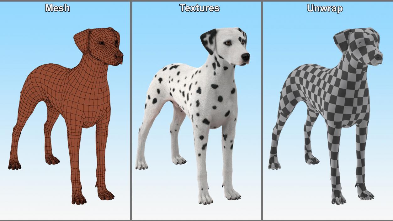 3D model Spotted Dalmatian Dog Fur