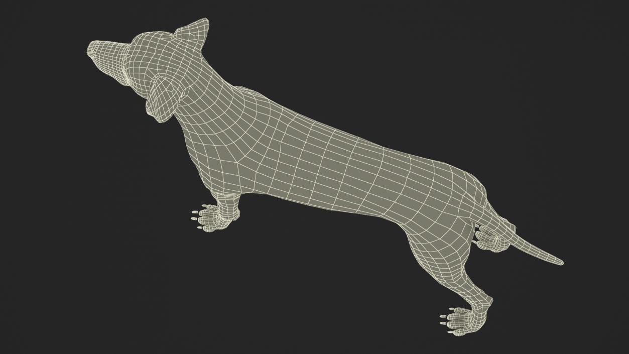 3D model Spotted Dalmatian Dog Fur