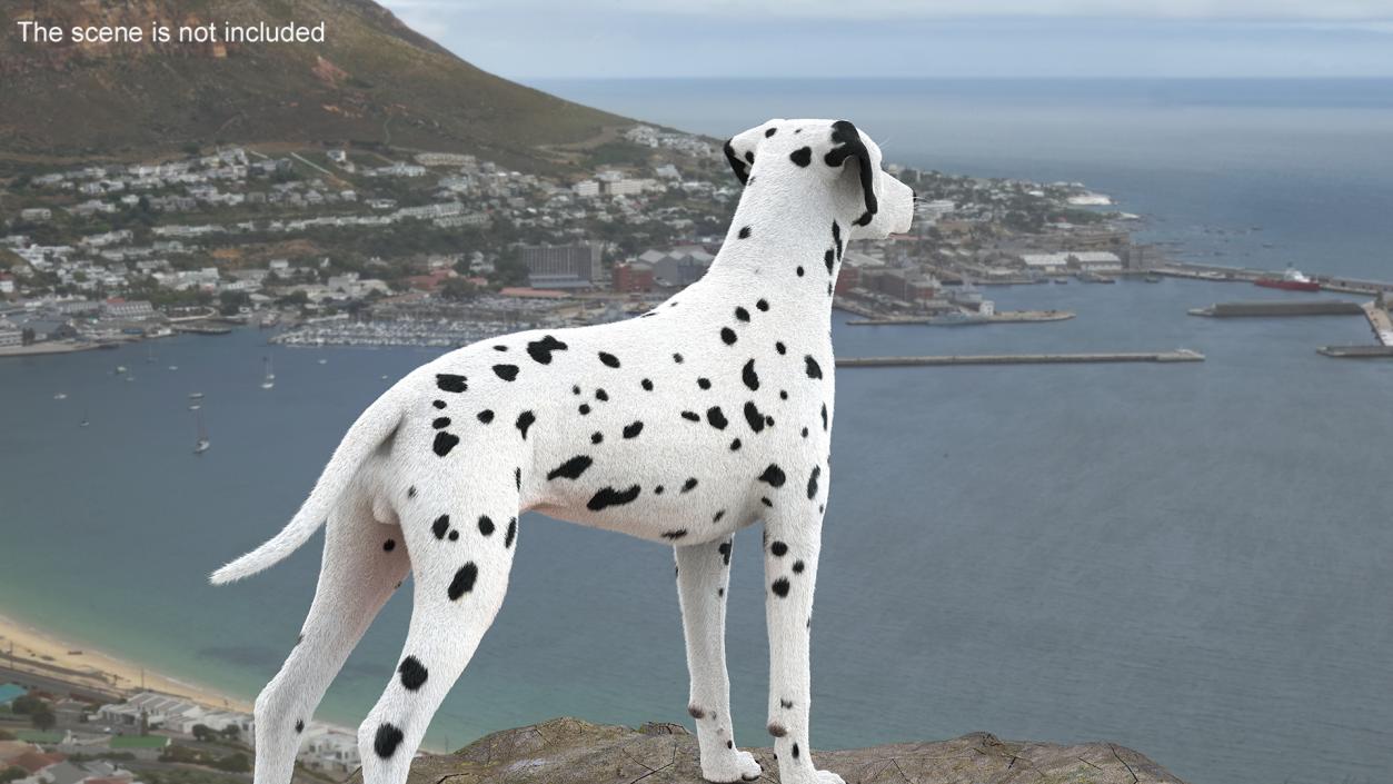 3D model Spotted Dalmatian Dog Fur