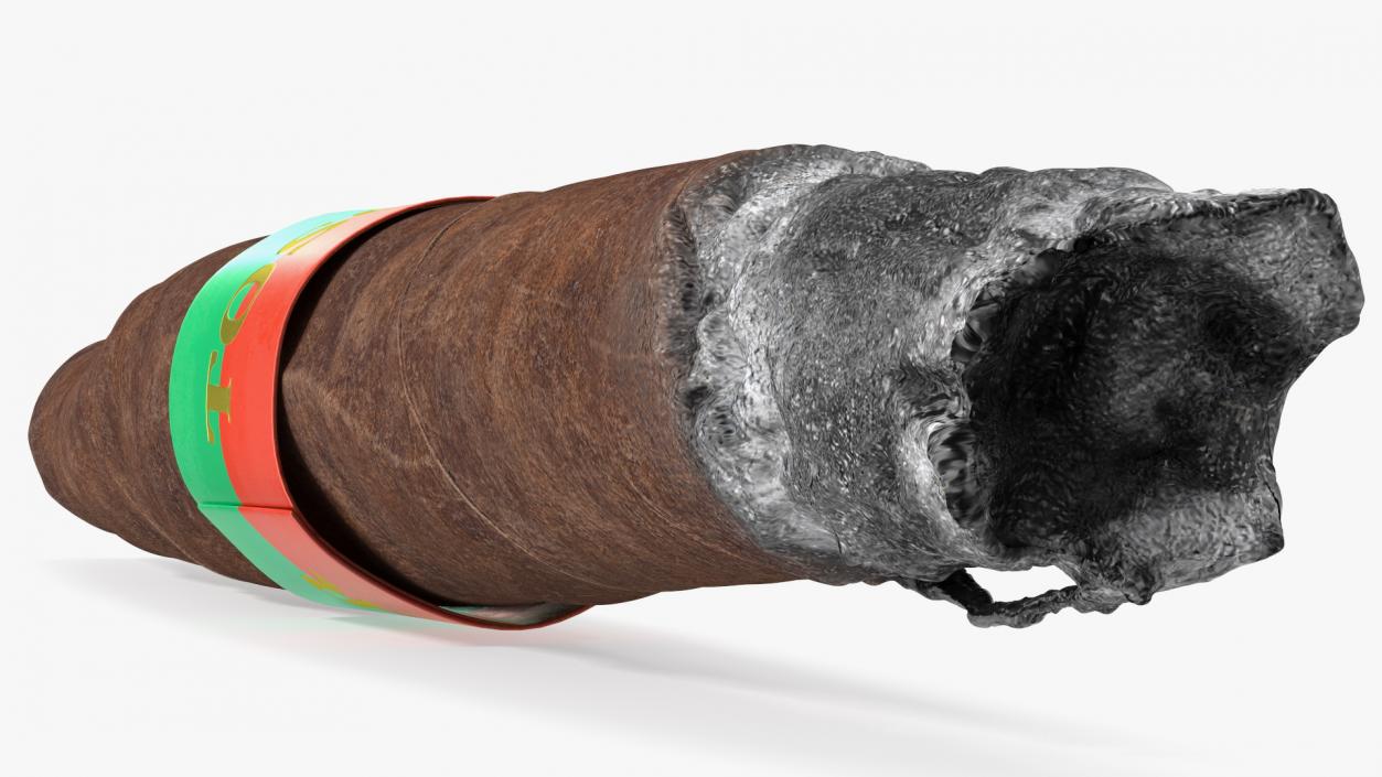 Smoldering Toscano Cigar 3D model