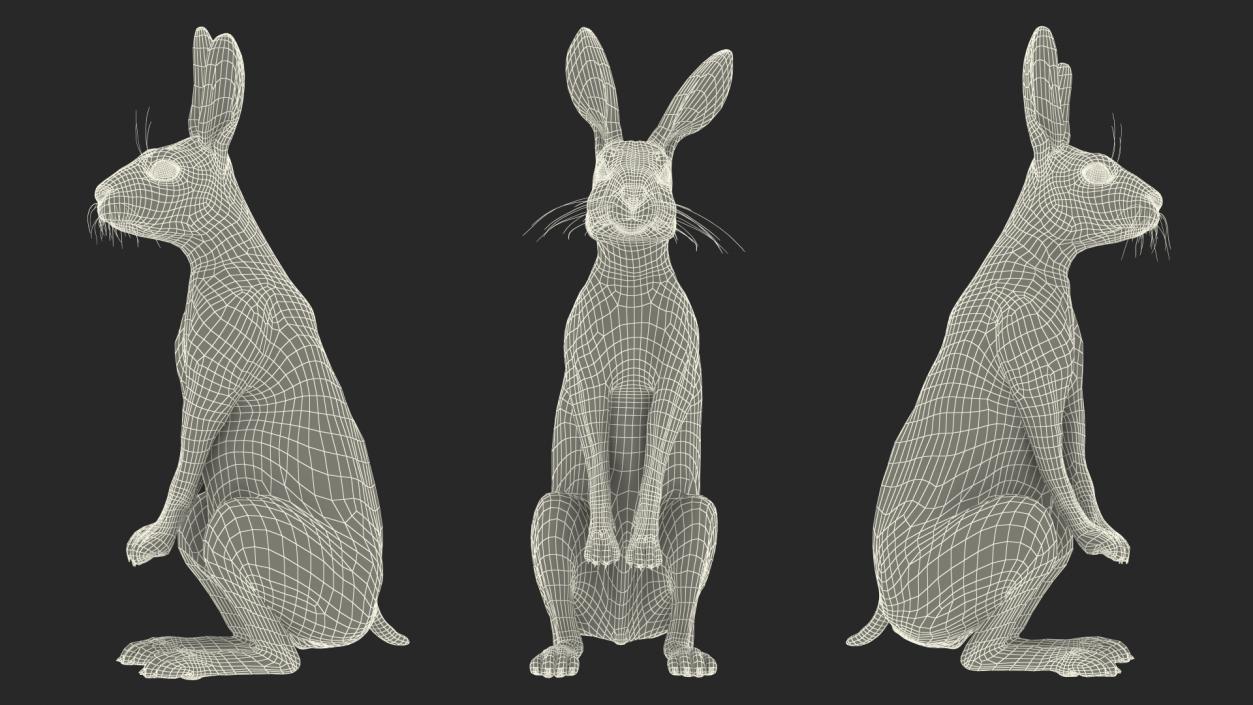 3D Snowshoe Hare Standing Pose Fur