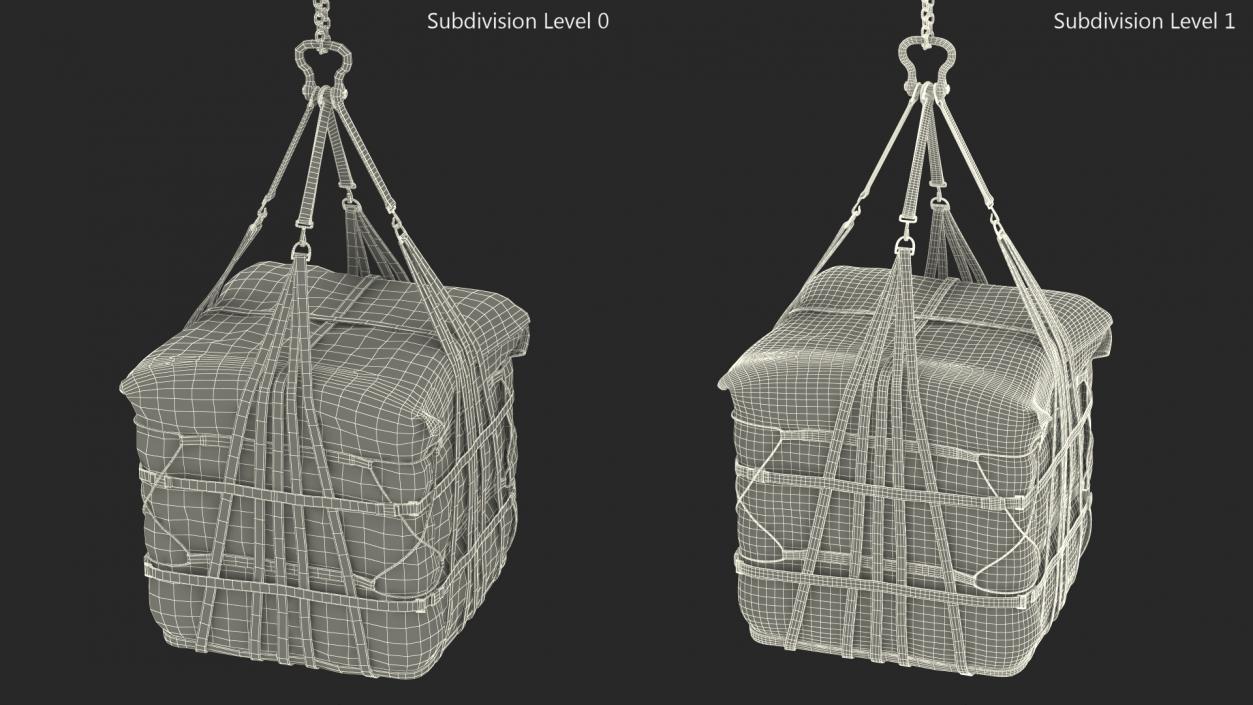 Heavy Duty Aerial Delivery Cargo Bag Hanging 3D model