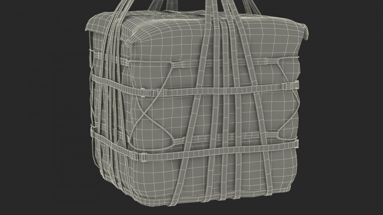 Heavy Duty Aerial Delivery Cargo Bag Hanging 3D model