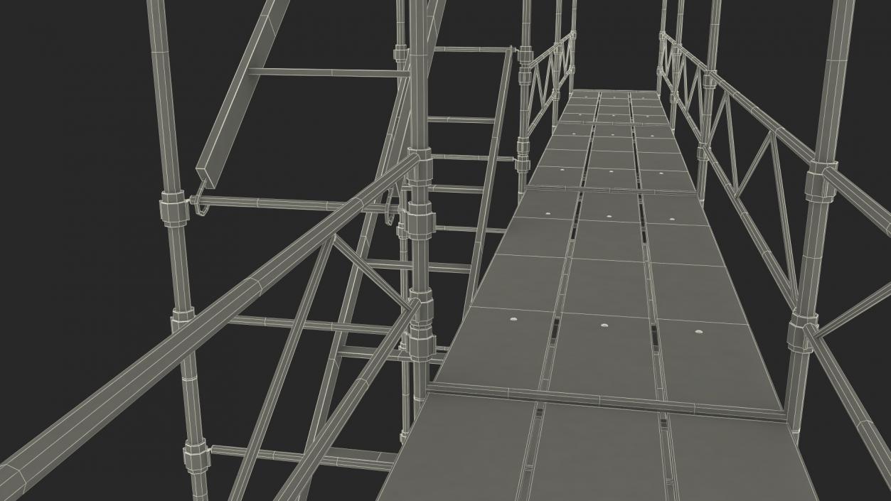 Construction Scaffolding Structure 3D model