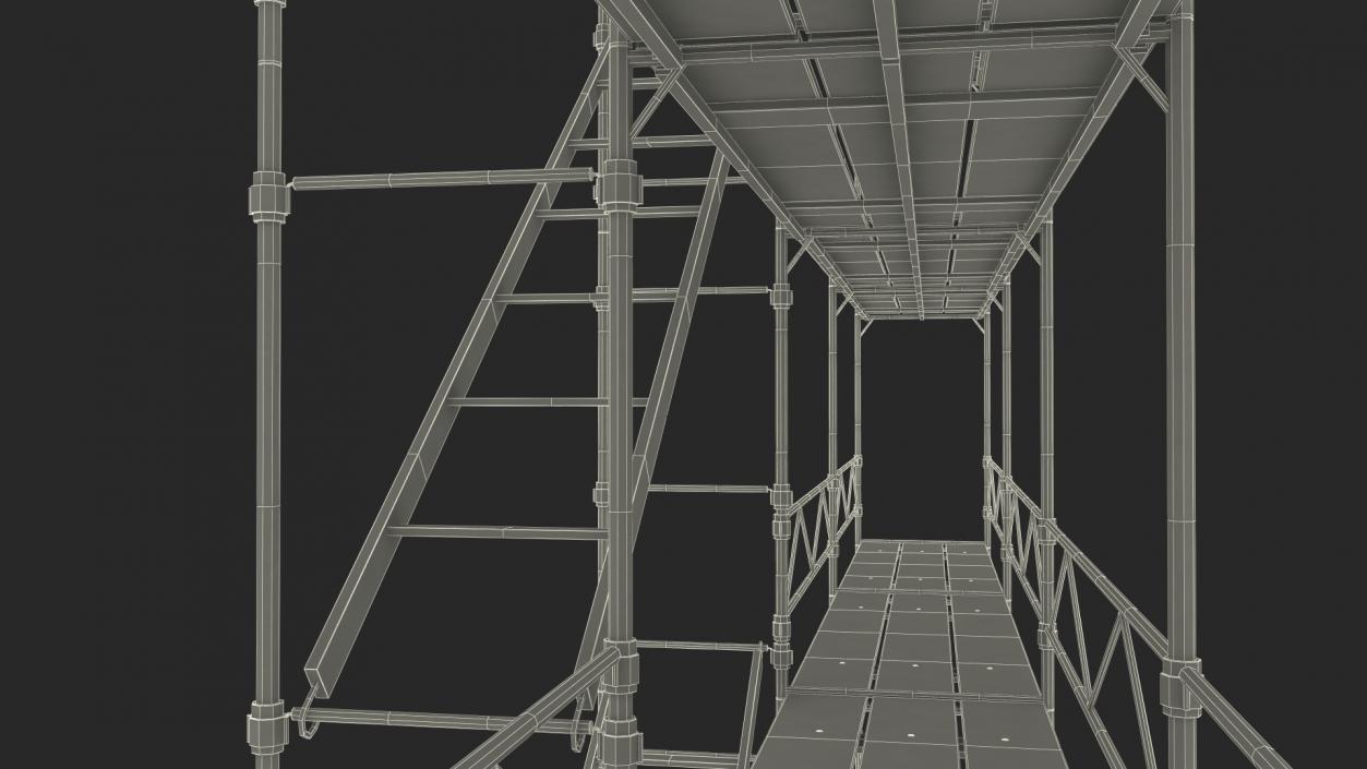 Construction Scaffolding Structure 3D model