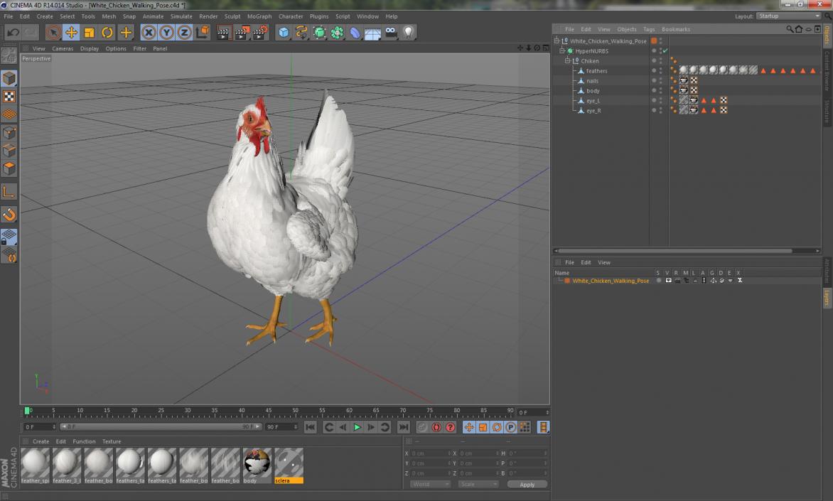 3D White Chicken Walking Pose