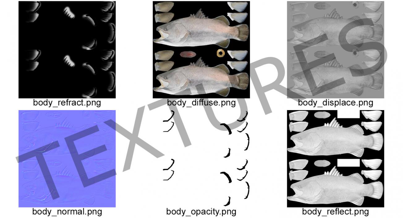 3D model Barramundi or Lates Calcarifer Fish