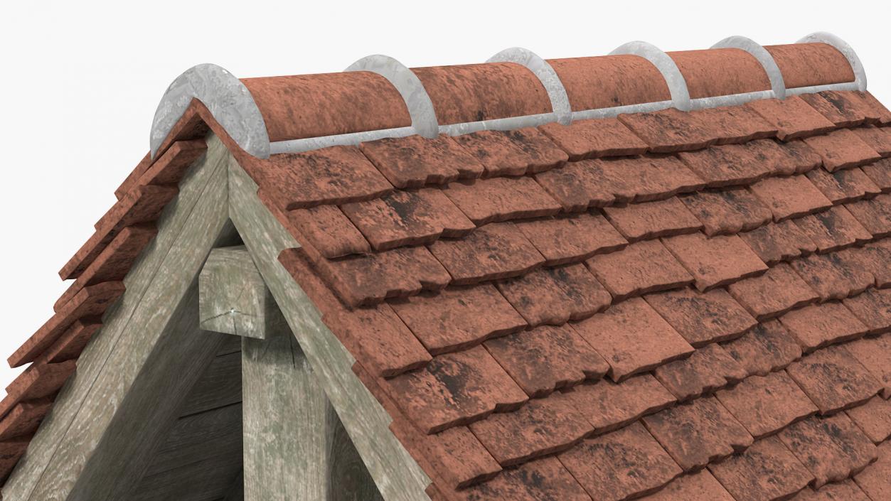 Tile Roof 3D model