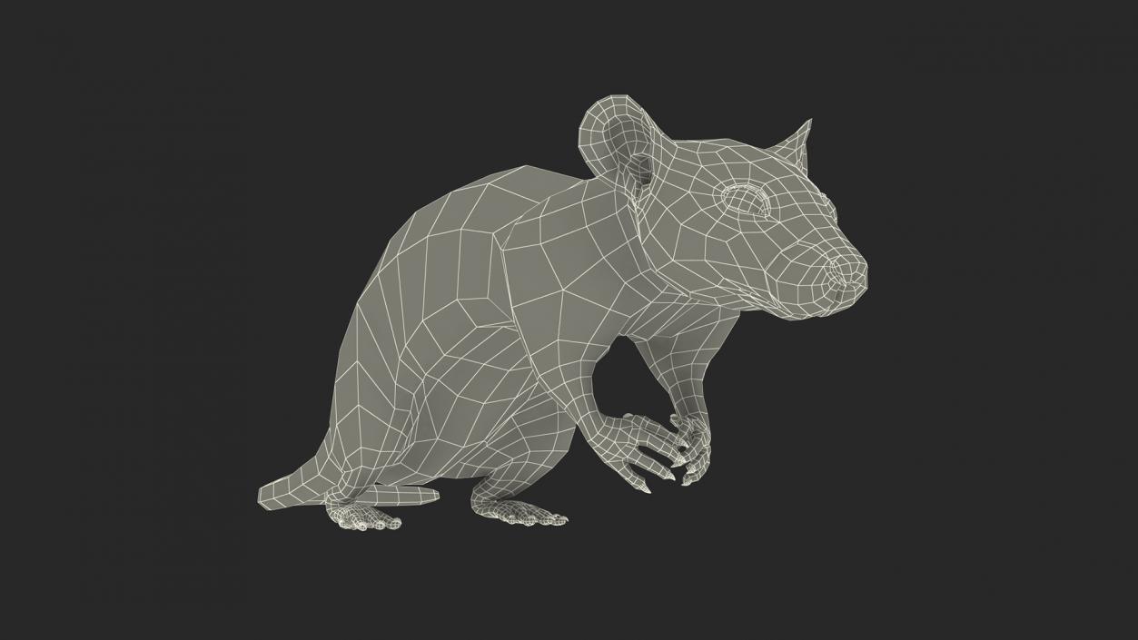 Rat with Trigger Trap Collection 3D