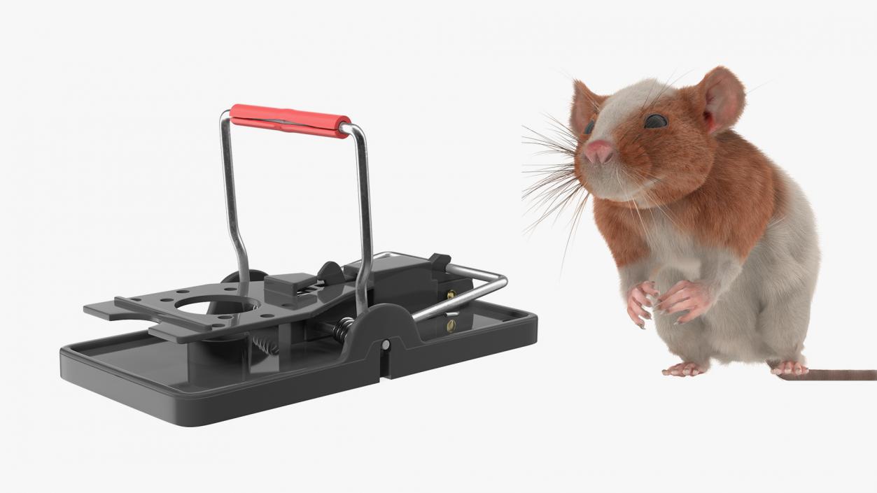 Rat with Trigger Trap Collection 3D