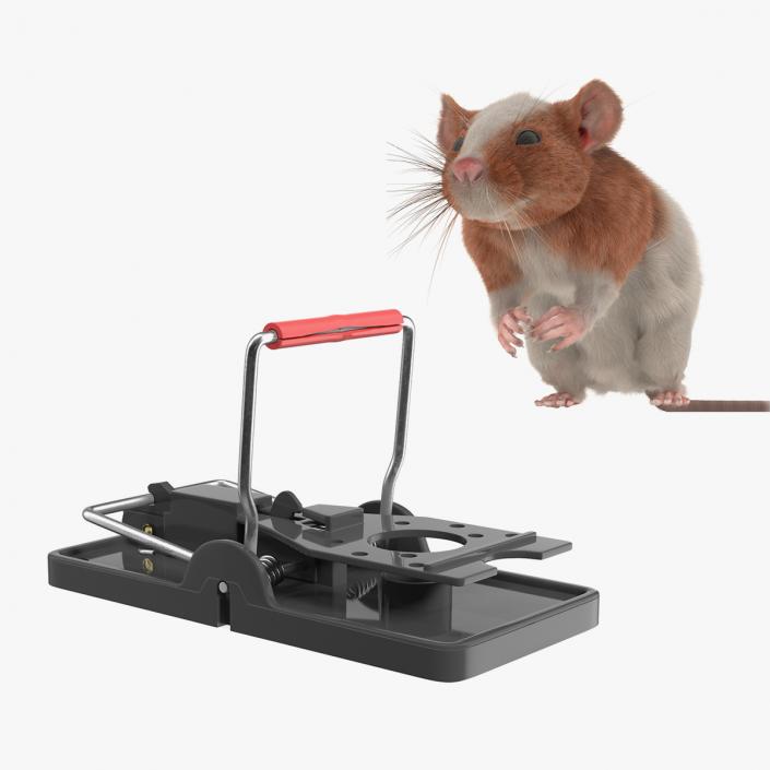 Rat with Trigger Trap Collection 3D