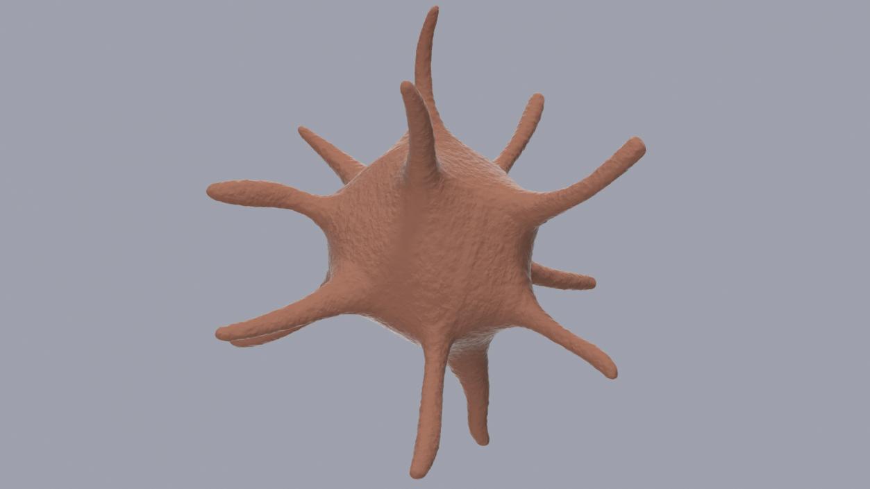 Platelet Blood Cell 3D model