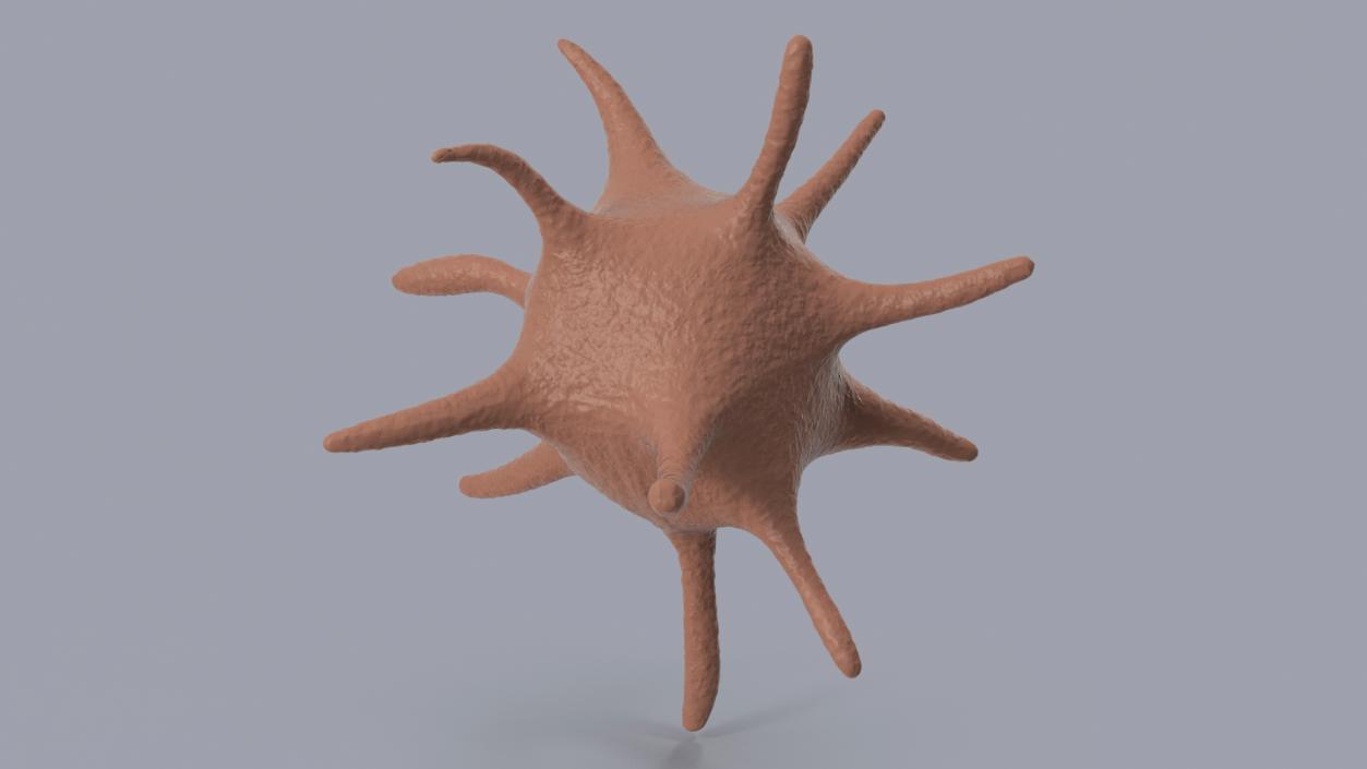 Platelet Blood Cell 3D model