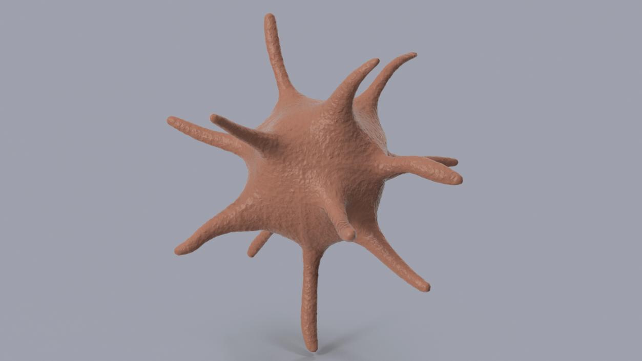 Platelet Blood Cell 3D model