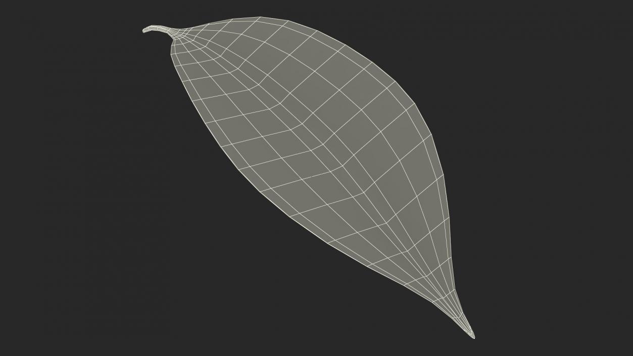 3D Realistic Cherry Tree Leaf