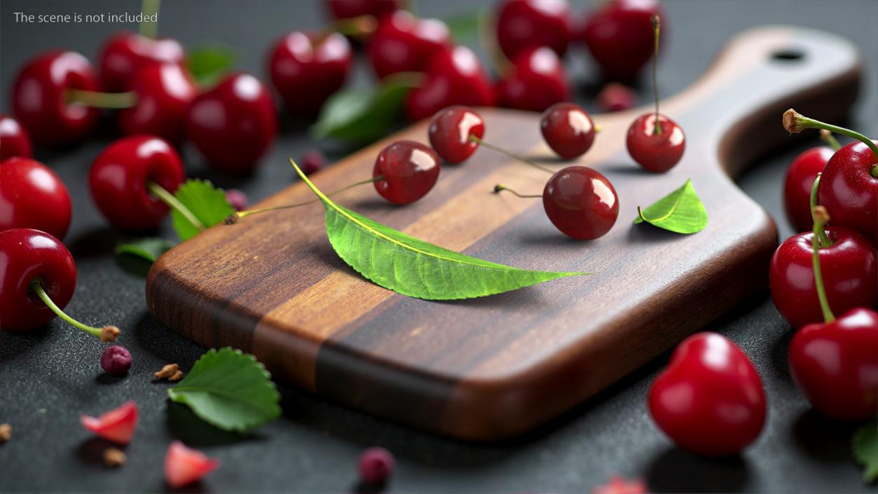 3D Realistic Cherry Tree Leaf