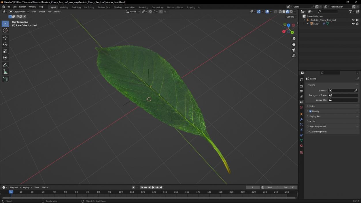 3D Realistic Cherry Tree Leaf