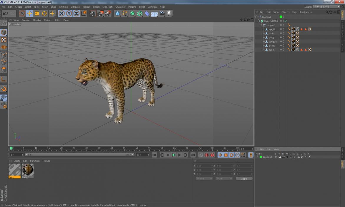 Leopard 3D model