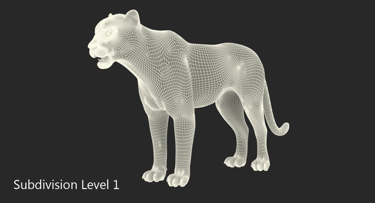 Leopard 3D model