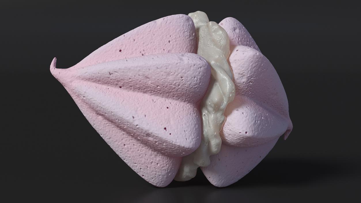 3D Pink Double Meringue with Vanilla Filling 2 model