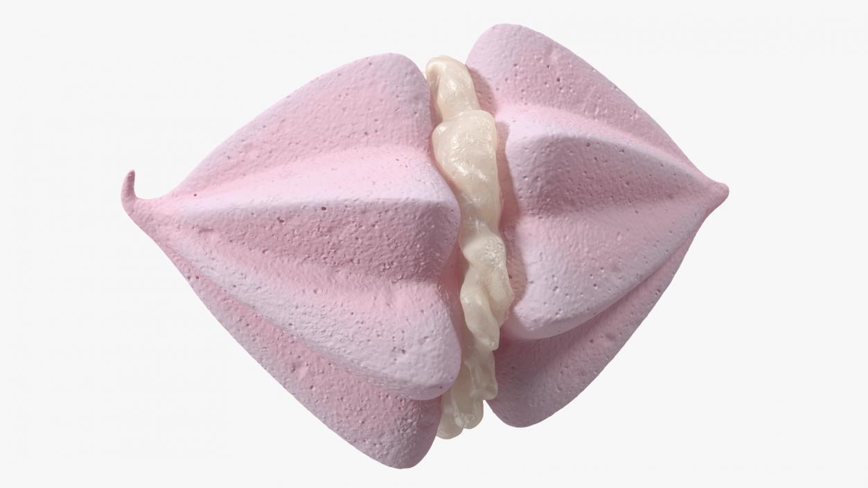 3D Pink Double Meringue with Vanilla Filling 2 model