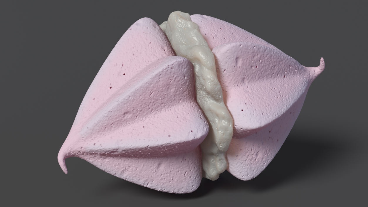 3D Pink Double Meringue with Vanilla Filling 2 model