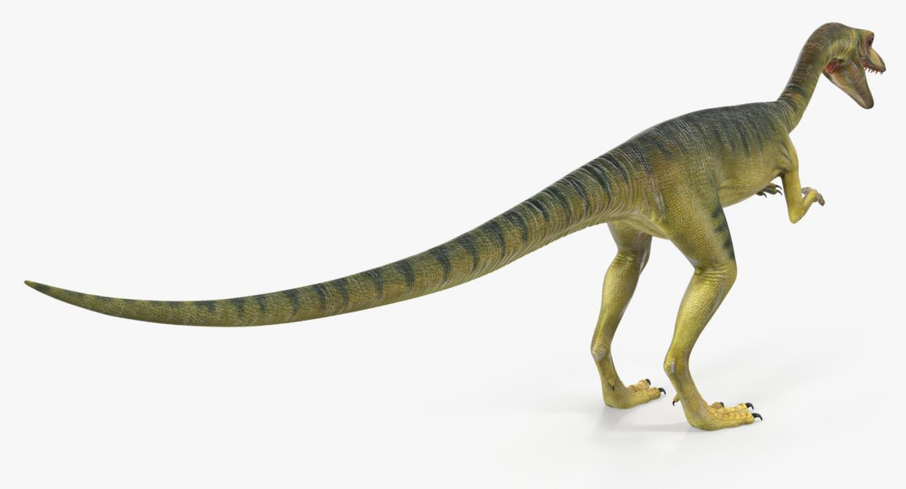 Compsognathus Carnivorous Dinosaur 3D model