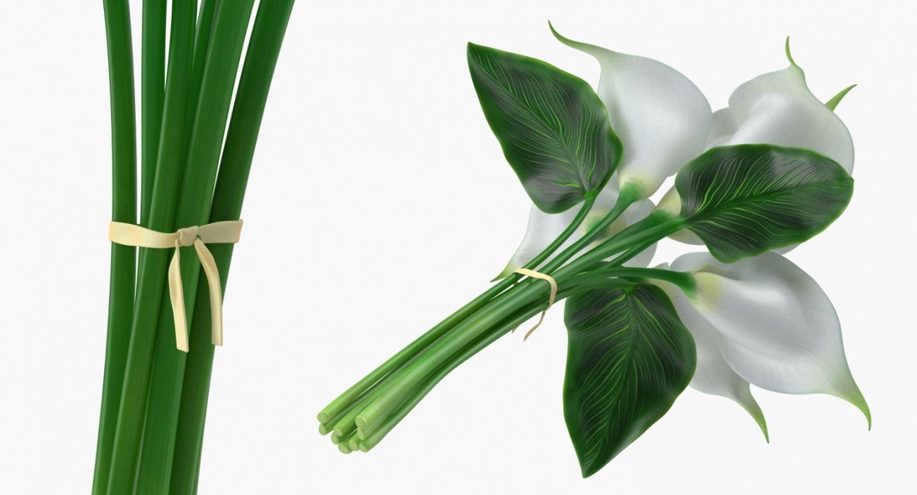 3D model Bouquet Calla Lilies