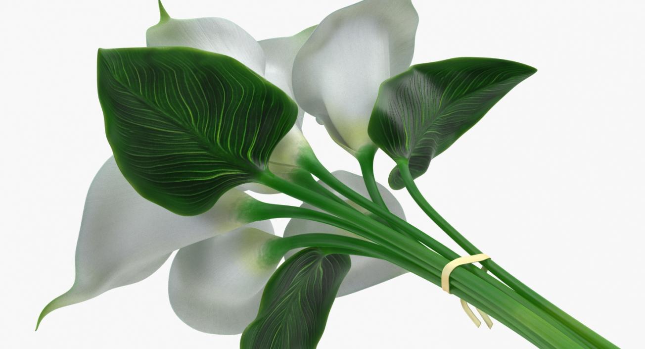 3D model Bouquet Calla Lilies