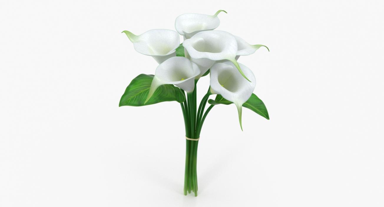 3D model Bouquet Calla Lilies