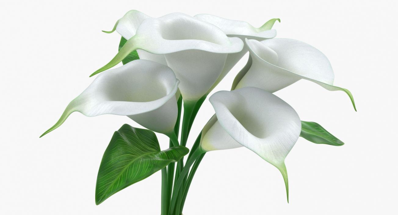 3D model Bouquet Calla Lilies