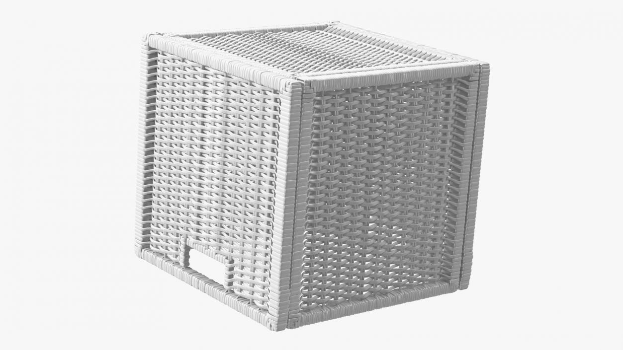 Rattan Storage Basket White 3D