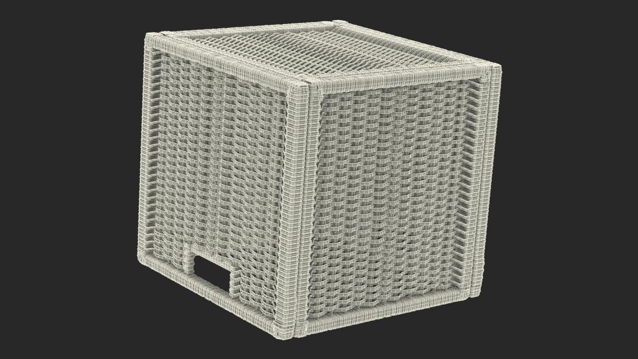 Rattan Storage Basket White 3D