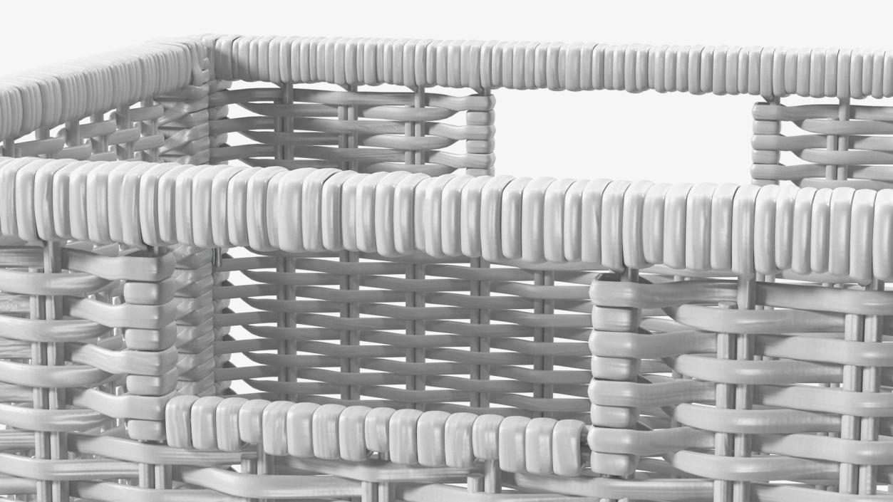 Rattan Storage Basket White 3D