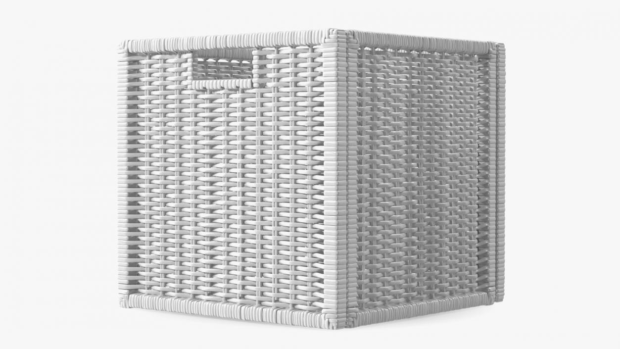 Rattan Storage Basket White 3D