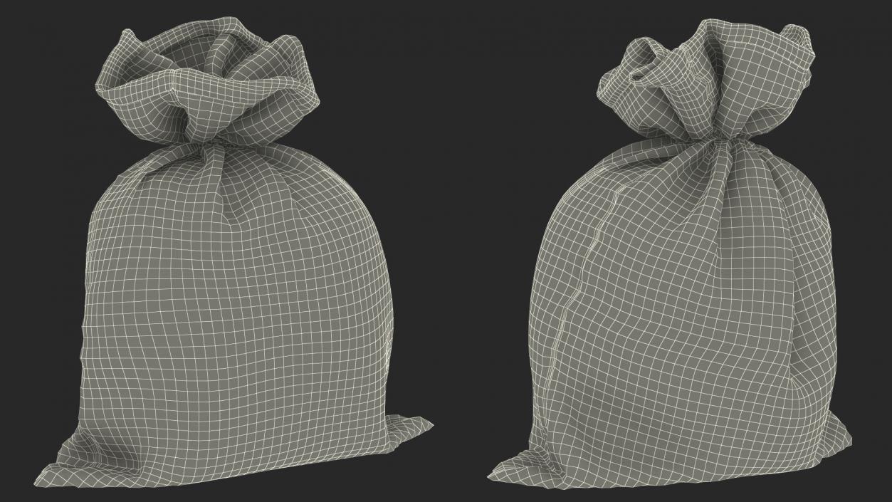 3D Euro Currency Sack model