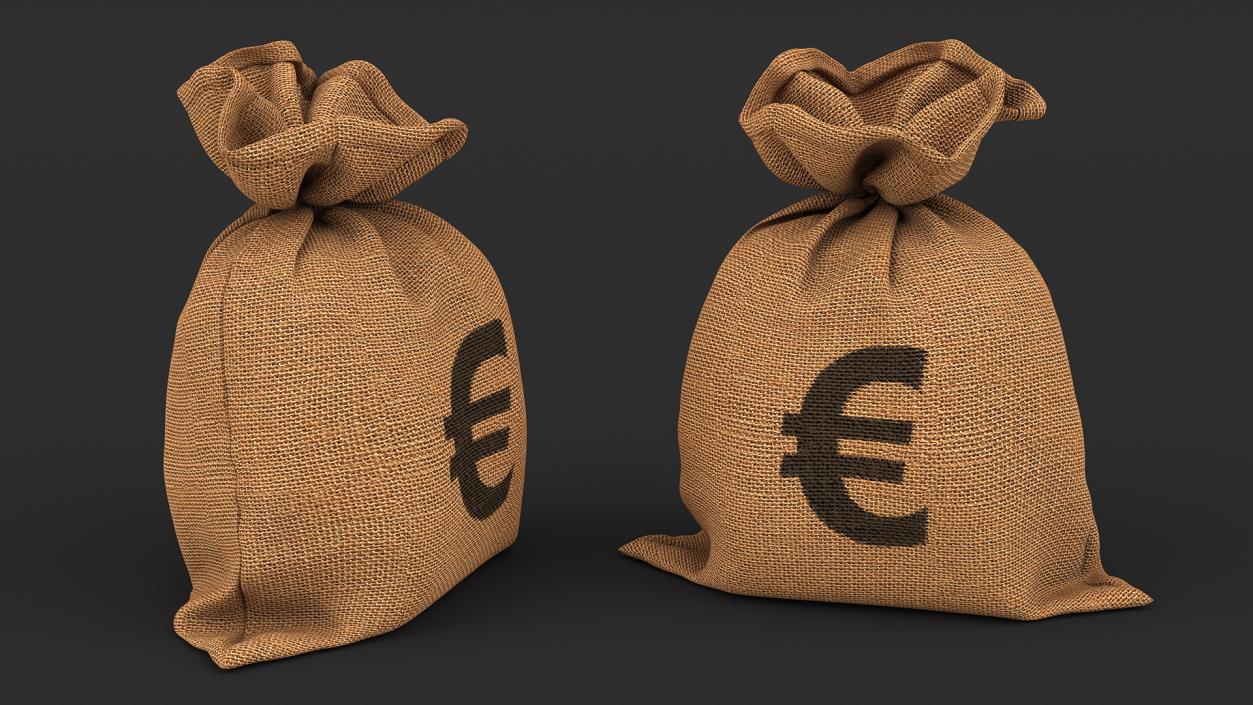 3D Euro Currency Sack model